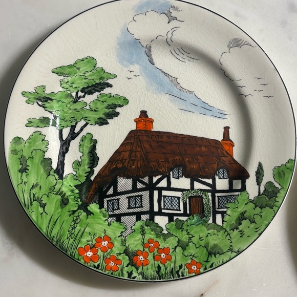 Set of 2 antique John Maddock and Sons 8” ceramic plates in Rustic pattern - Picture 3 of 11